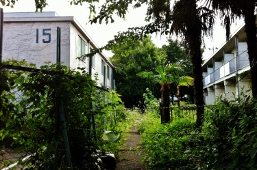 Asagaya Housing danchi building 15