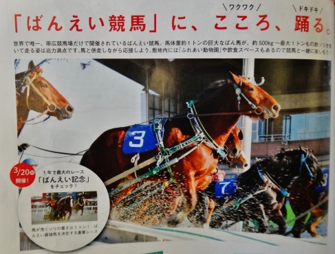 ban-ei keiba horse racing Hokkaido 2