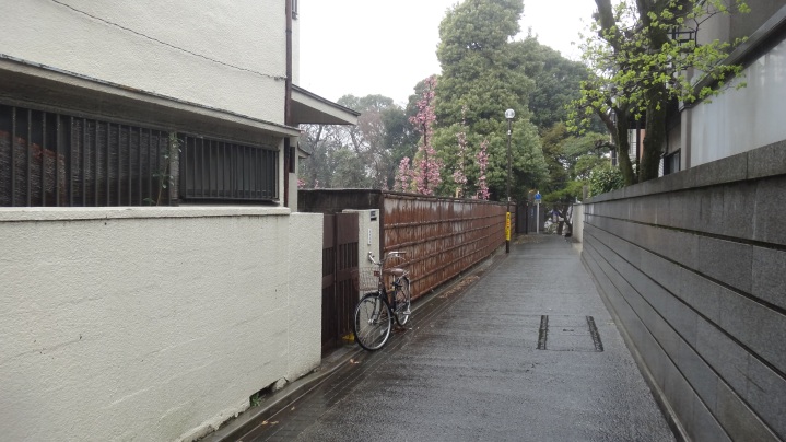 Yanaka Tokyo rain narrow road bikes at rest